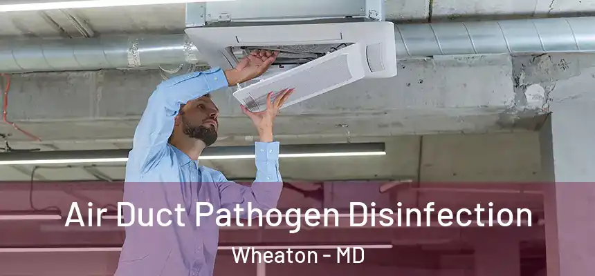  Air Duct Pathogen Disinfection Wheaton - MD