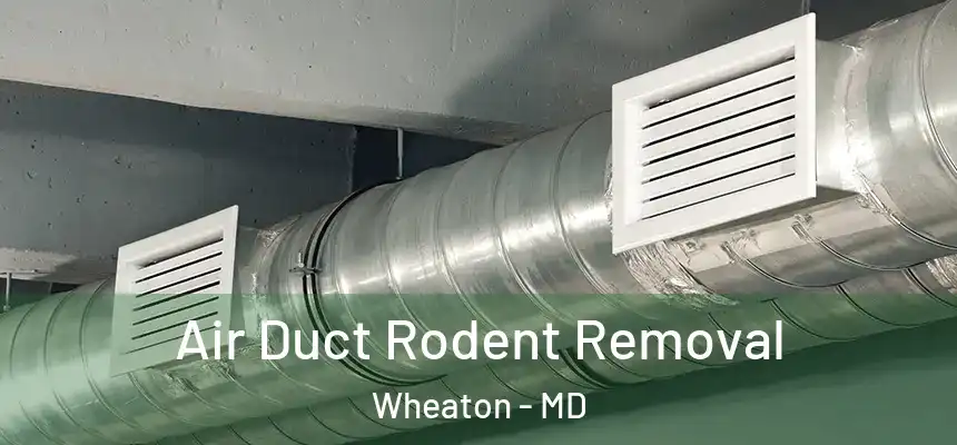  Air Duct Rodent Removal Wheaton - MD