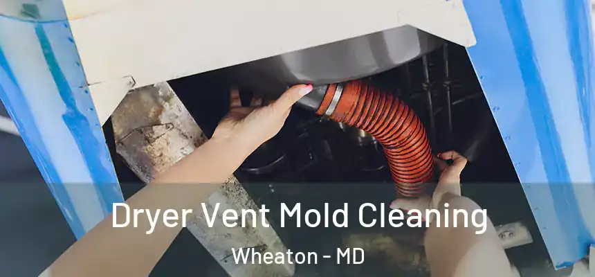  Dryer Vent Mold Cleaning Wheaton - MD