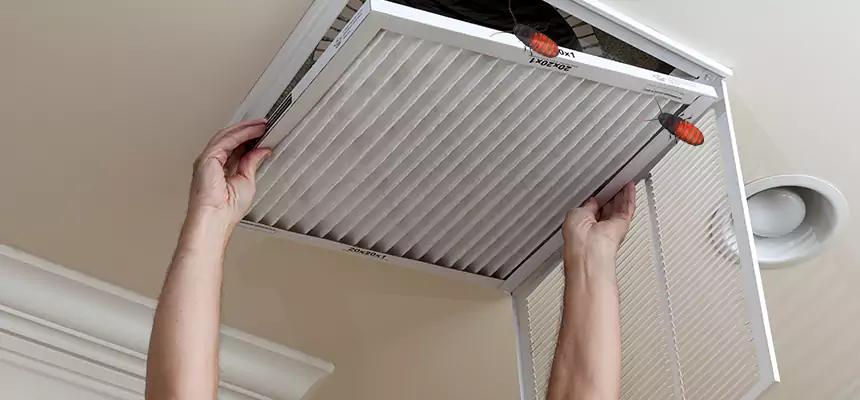 Preventive Cockroach-Proofing for Ducts in Wheaton