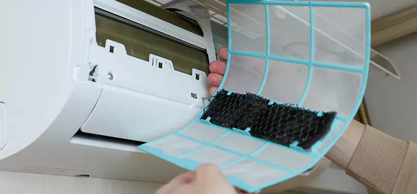 Gentle Ductwork Odor-Control Pet Dander Duct Cleaning in Wheaton, MD