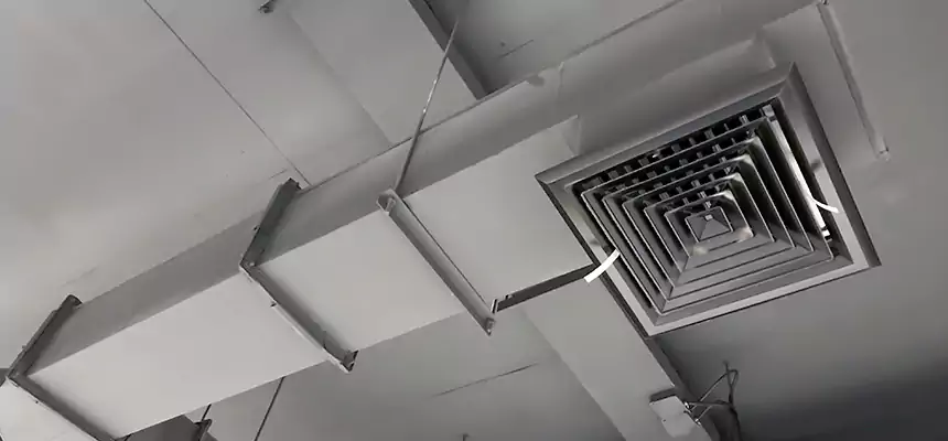 Our Rodent Droppings In Vents Services in Wheaton, MD