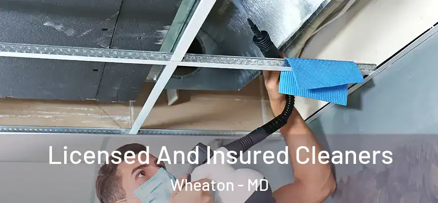  Licensed And Insured Cleaners Wheaton - MD