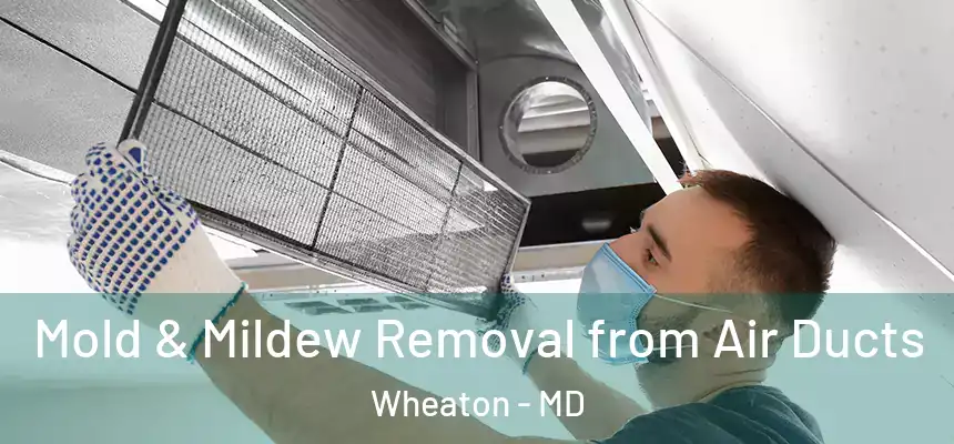  Mold & Mildew Removal from Air Ducts Wheaton - MD