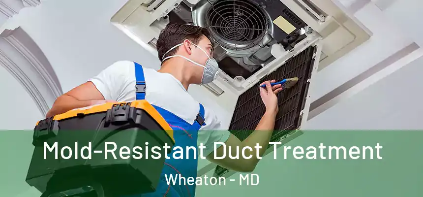  Mold-Resistant Duct Treatment Wheaton - MD