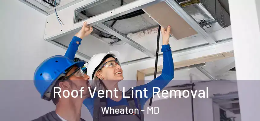  Roof Vent Lint Removal Wheaton - MD