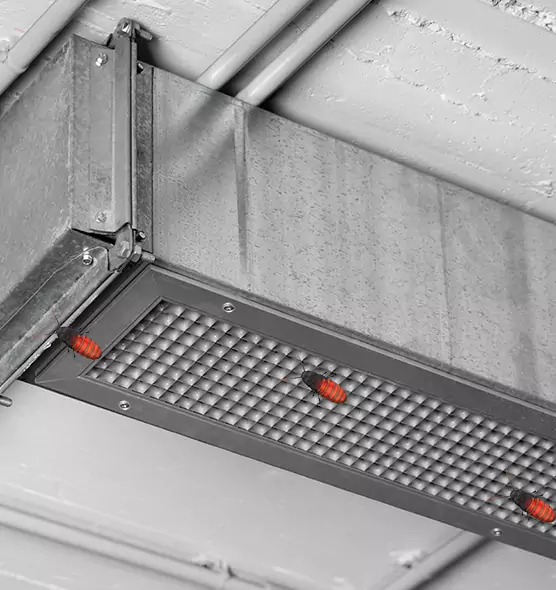About Air Duct Cockroach Removal in Wheaton, MD