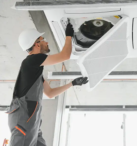 About Air Duct Rodent Removal in Wheaton, MD