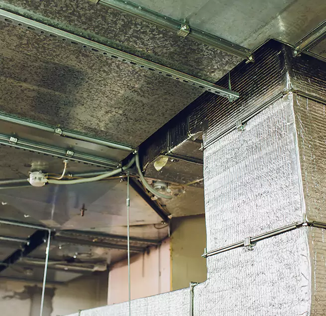 Why Homeowners & Businesses Trust Us in Wheaton, MD?